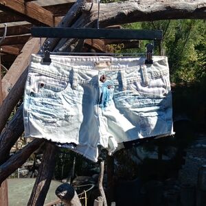 YMI Light Blue Distressed Jean Shorts